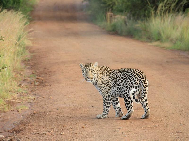 大地艺术<br>qyo4ufag.cn 螺旋形防波堤